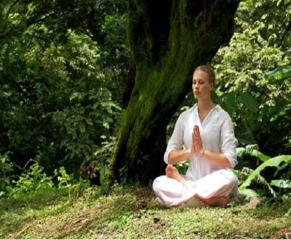 Family Hotel in Jim mahabaleshwar